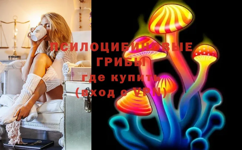 купить закладку  Белая Холуница  Галлюциногенные грибы Magic Shrooms 